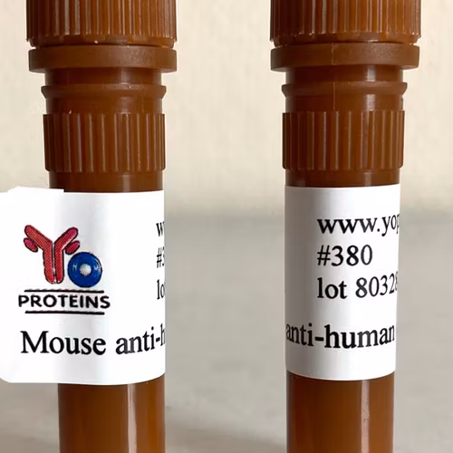 380 Mouse anti-human collagen type III monoclonal antibody, clone MC3-HA 1 ml