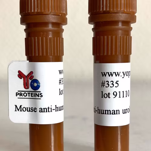335 Mouse anti-human urokinase monoclonal antibody, clone PGM2005 1 ml