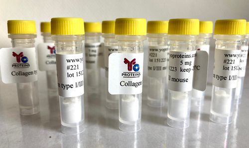 221 Collagen type I and III (mouse) 5 mg