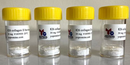 826-30 Collagen type II (bovine) 30 mg