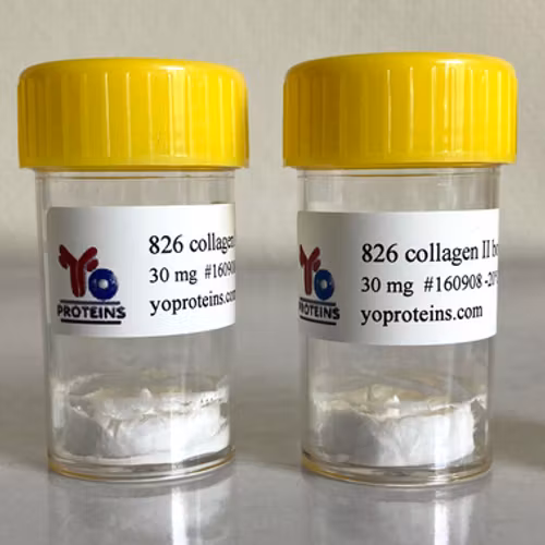 826-30 Collagen type II (bovine) 30 mg