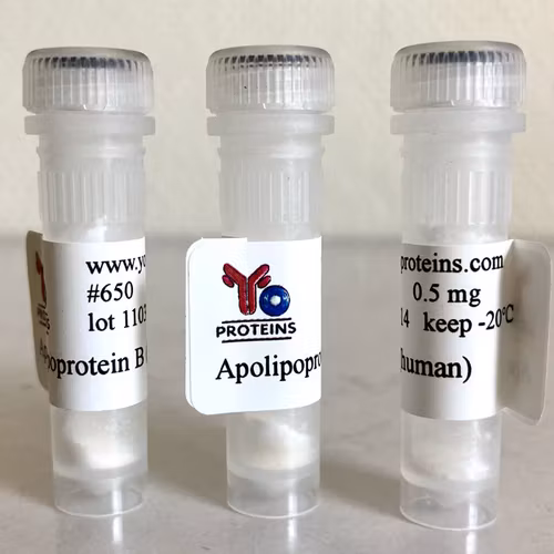 650 Apolipoprotein B (human) 0.5 mg