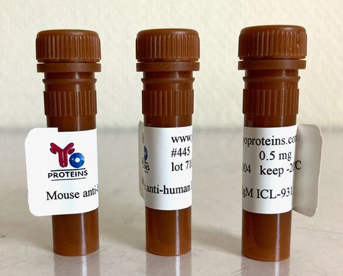 445 Mouse anti-human IgM monoclonal antibody, clone ICL-931 0.5 ml