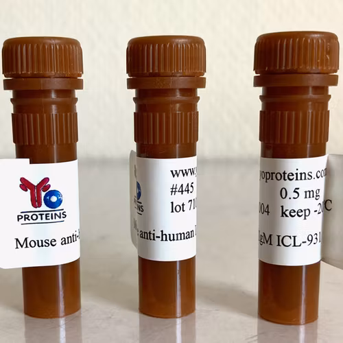 445 Mouse anti-human IgM monoclonal antibody, clone ICL-931 0.5 ml