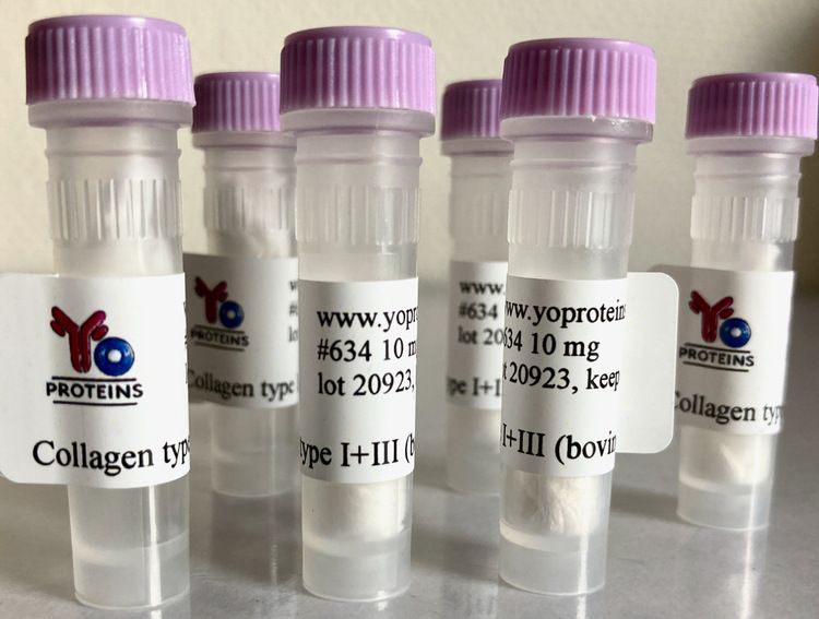 634 Collagen type I and III (bovine) 10 mg