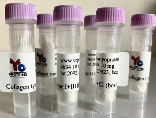 634 Collagen type I and III (bovine) 10 mg