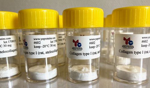 602 Collagen type I (rat, atelocollagen suitable for 3D gel, sterile, lyophilized)
