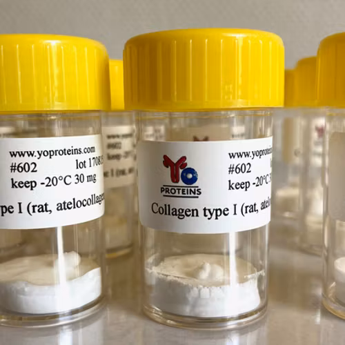 602 Collagen type I (rat, atelocollagen suitable for 3D gel, sterile, lyophilized)