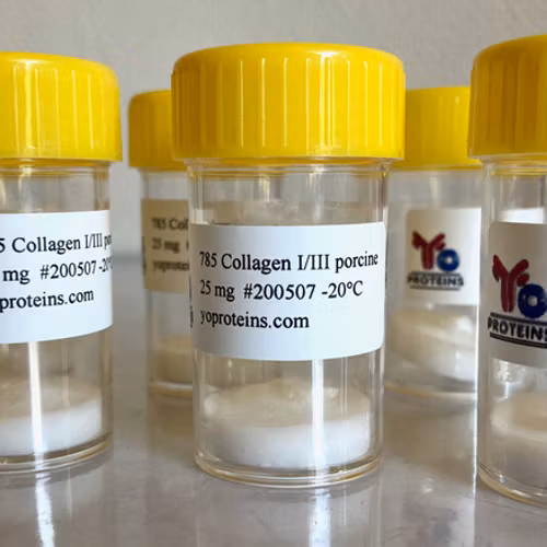 785 Collagen type I/III (porcine, atelocollagen suitable for 3D gel, sterile, lyophilized)
