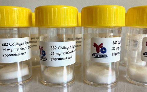 882 Collagen type I (porcine, native collagen suitable for 3D gel, sterile, lyophilized)