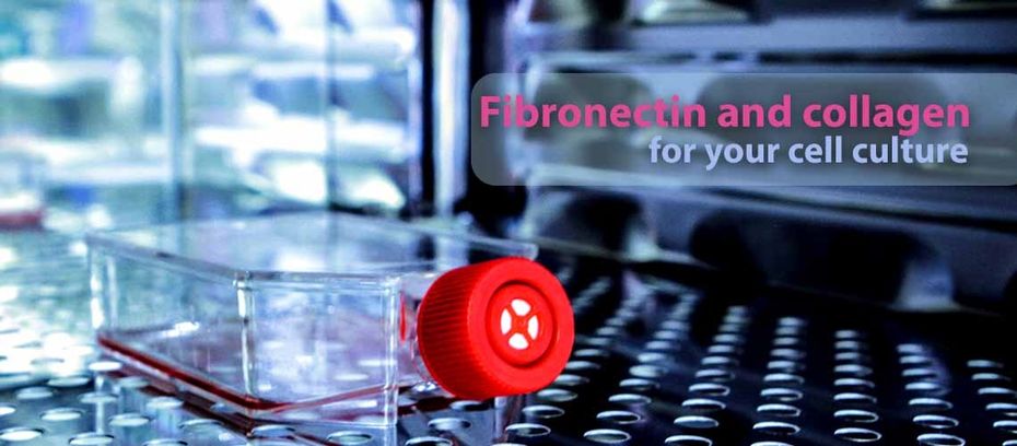 YO Proteins AB