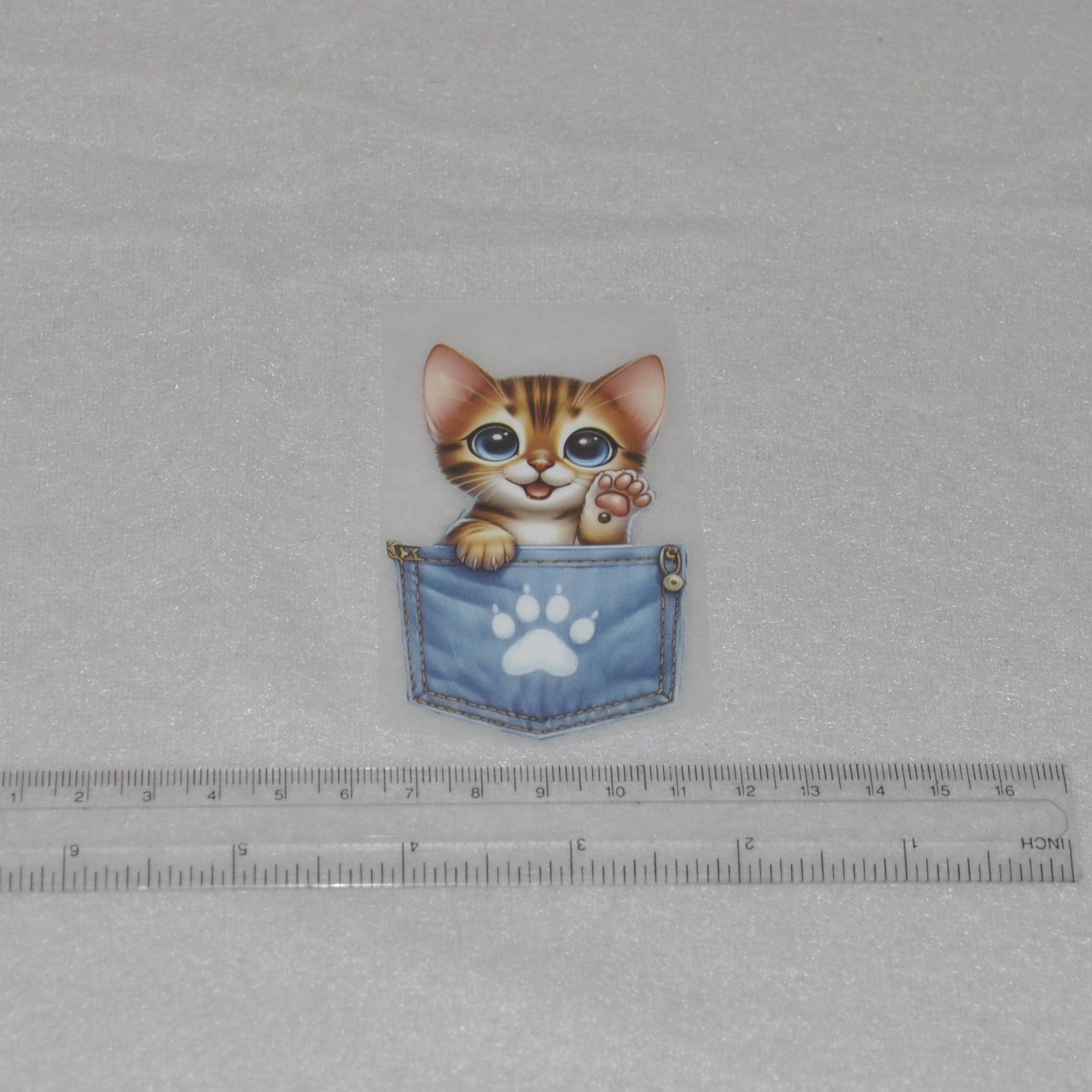 Vinyltryck Katt i jeansficka ca 5 x 8 cm