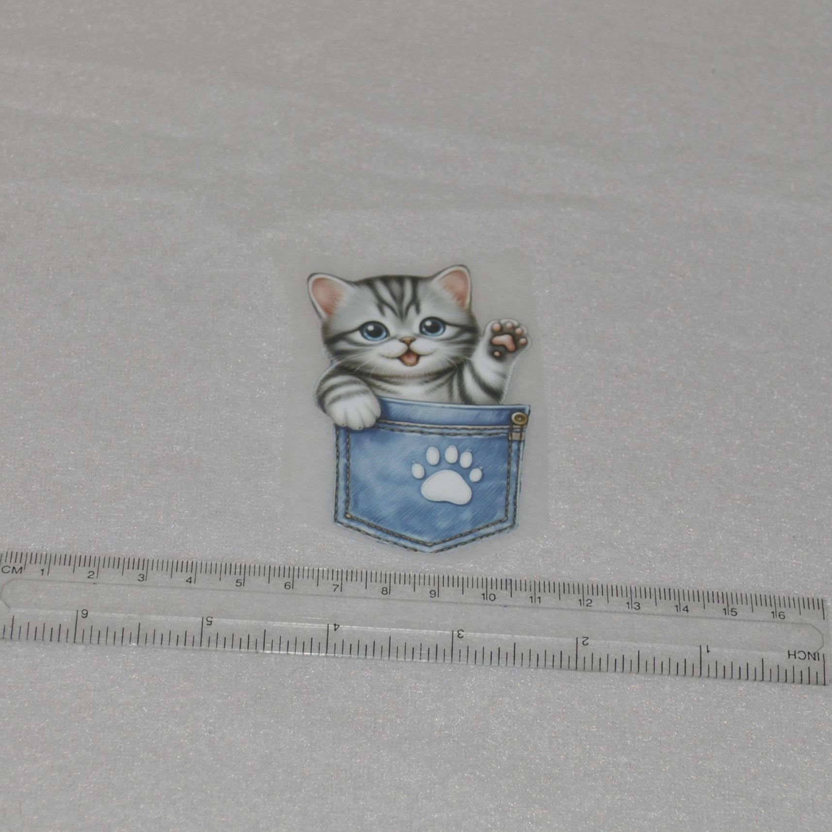 Vinyltryck Katt i jeansficka ca 5 x 8 cm