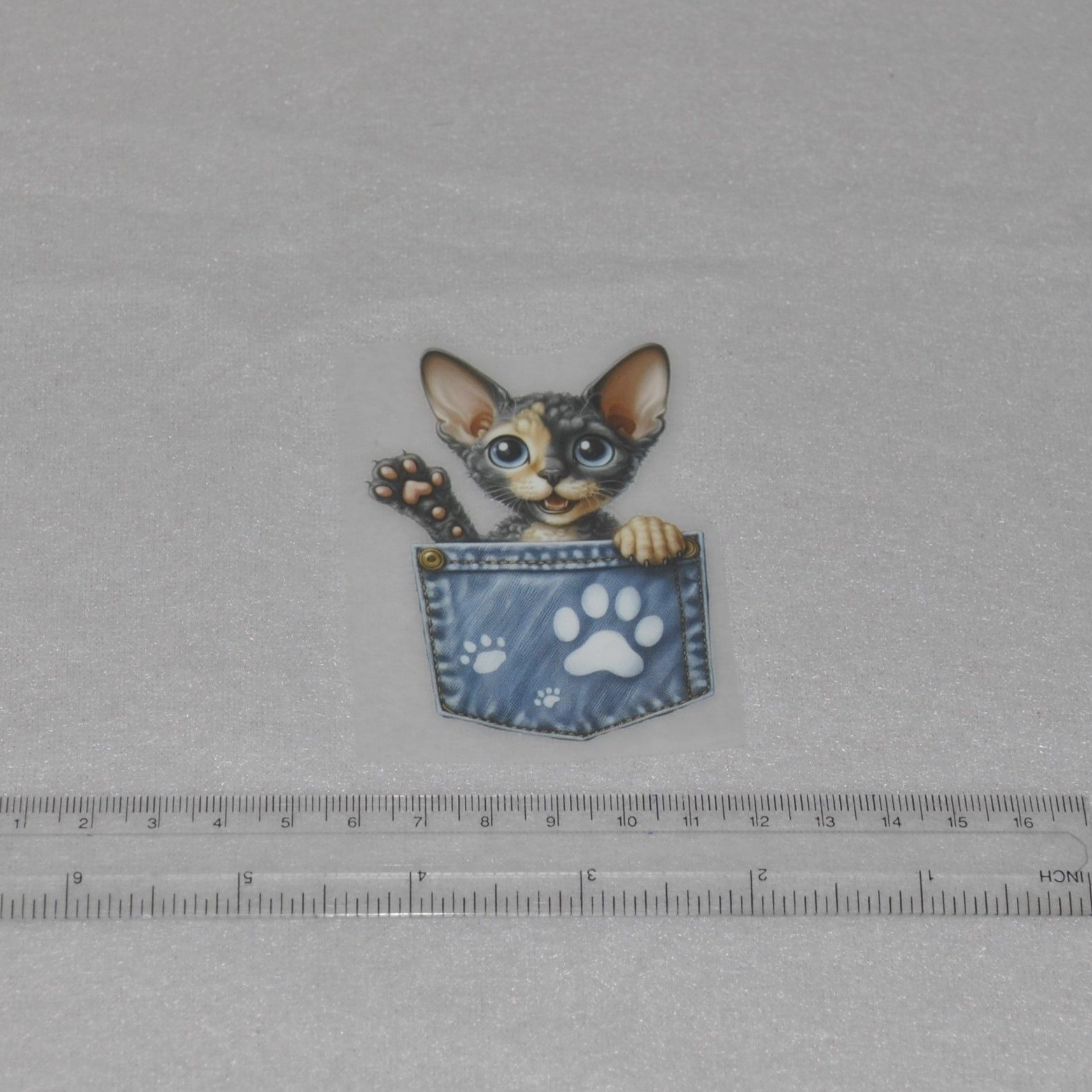 Vinyltryck Katt i jeansficka ca 5 x 8 cm