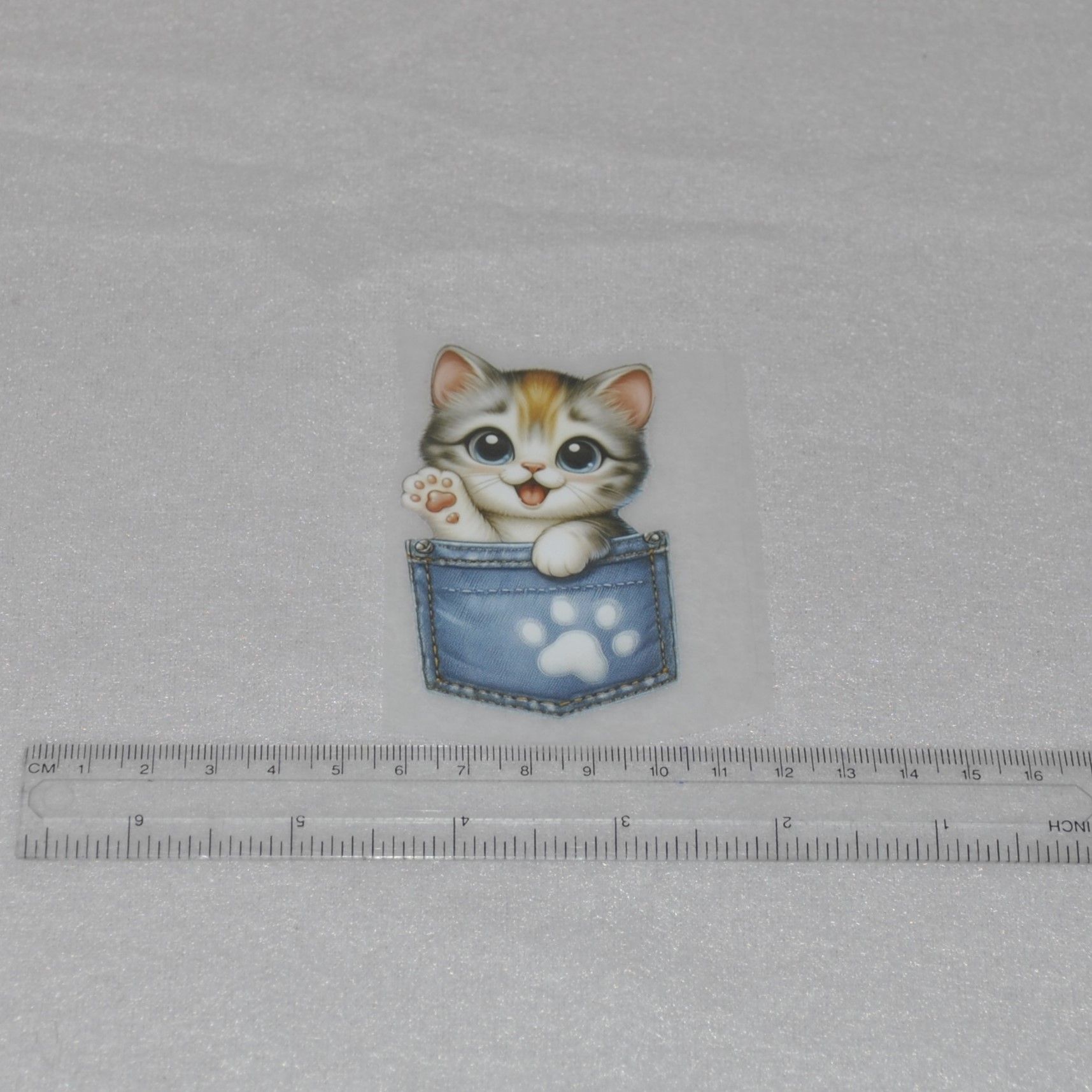 Vinyltryck Katt i jeansficka ca 5 x 8 cm