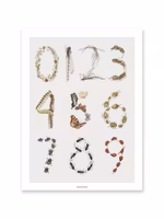 Fashionell - Insekternas 123