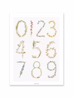 Fashionell - Blommande siffror