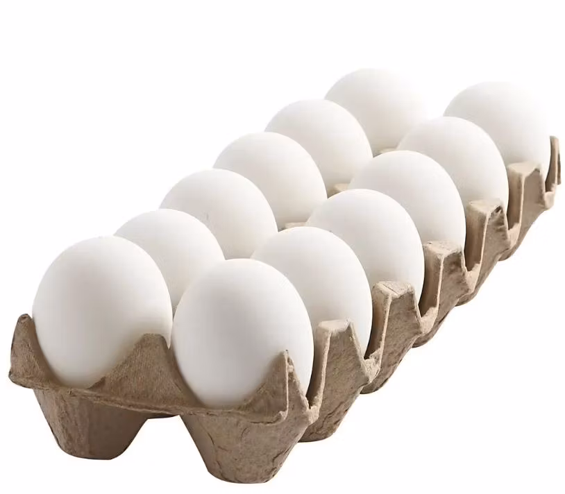 Plastägg 12 st