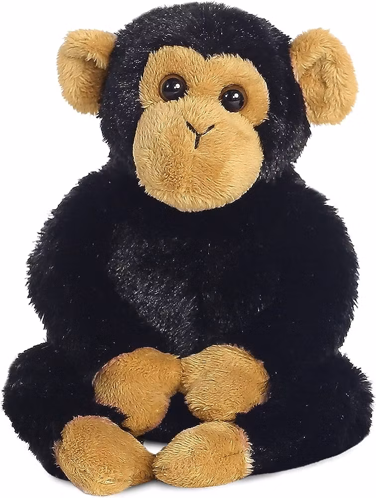 Aurora Chimpans