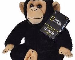 Nathional Geographic Chimpans