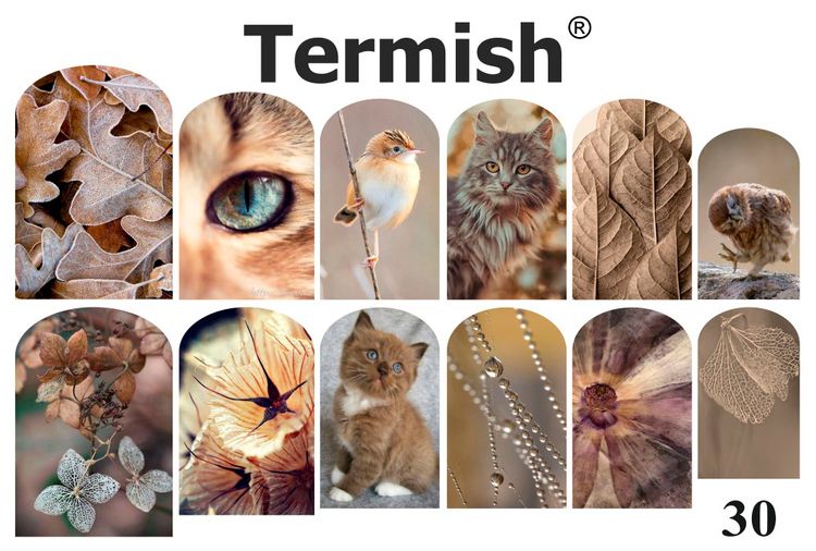 Termish Slide nr 30