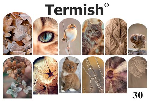 Termish Slide nr 30