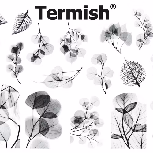 Termish Slide nr C12