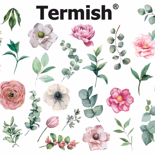 Termish Slide nr C29