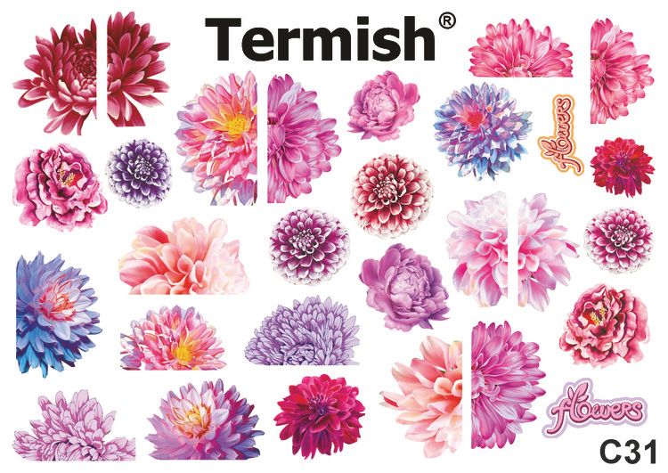 Termish Slide nr C31