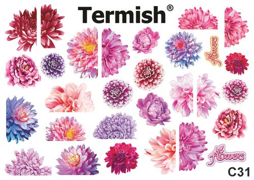 Termish Slide nr C31