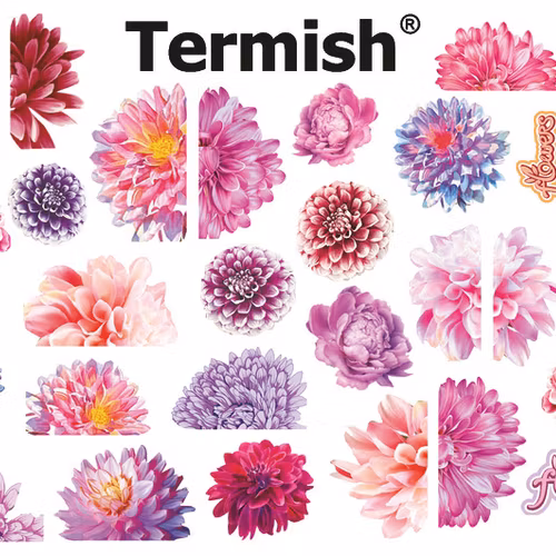 Termish Slide nr C31