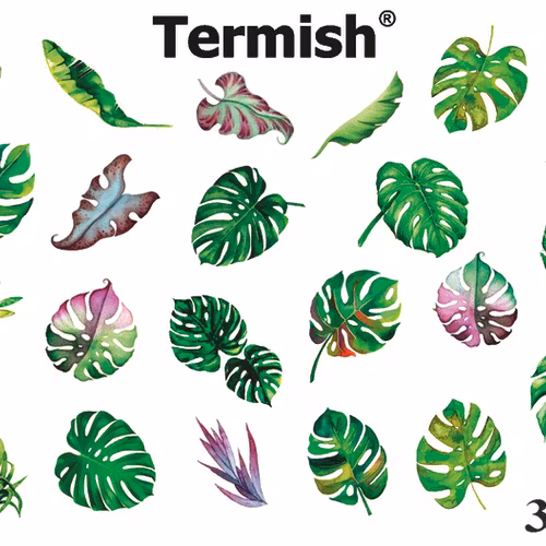 Termish Slide nr 3D 15