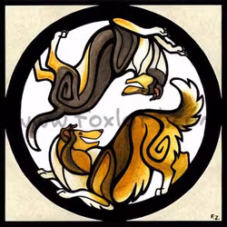 T-shirt, Yin Yang orange – Collie
