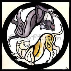 T-shirt, Yin Yang sangria – American staffordshire terrier