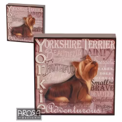 Tavla – Yorkshireterrier