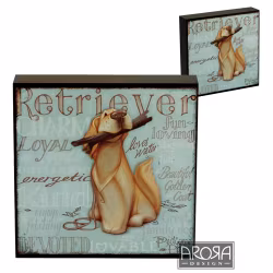 Tavla – Golden retriever