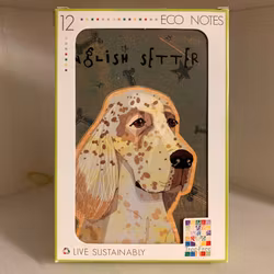 Kort, Eco notes – Engelsk setter