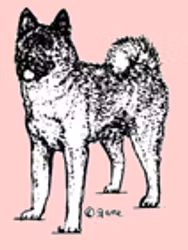 Stämpel – Akita