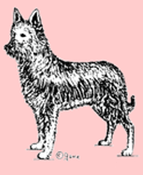 Stämpel – Berger picard