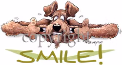 Tygkasse, Smile – Airedaleterrier