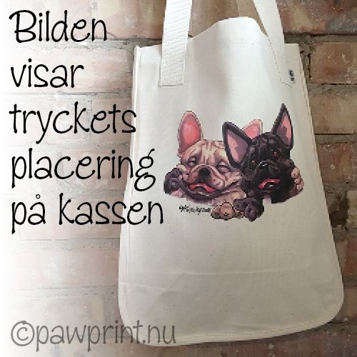 Tygkasse, Buddies – American staffordshire terrier