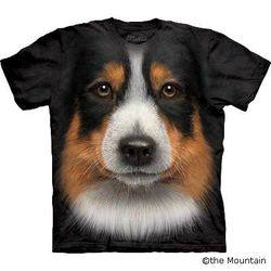 T-shirt FACE – Australian shepherd