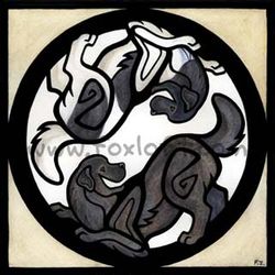 Halsband Yin & Yang – Newfoundlandshund