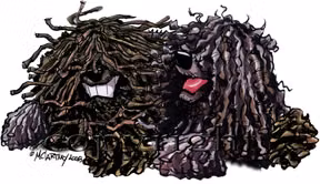 T-shirt Buddies – Puli