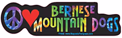 Dekal, hippie – Berner sennen