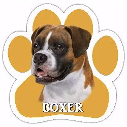 Bilmagnet, tass – Boxer