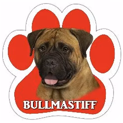 Bilmagnet, tass – Bullmastiff