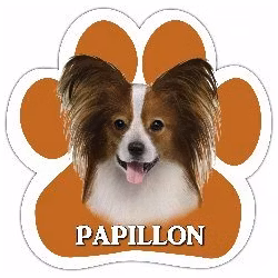 Bilmagnet, tass – Papillon