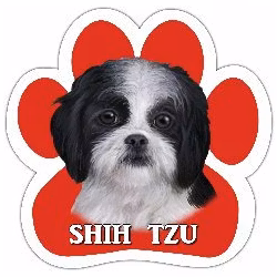 Bilmagnet, tass – Shih tzu