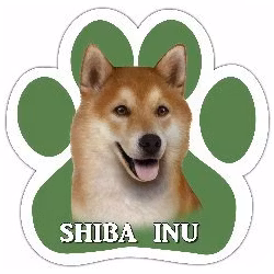 Bilmagnet, tass – Shiba